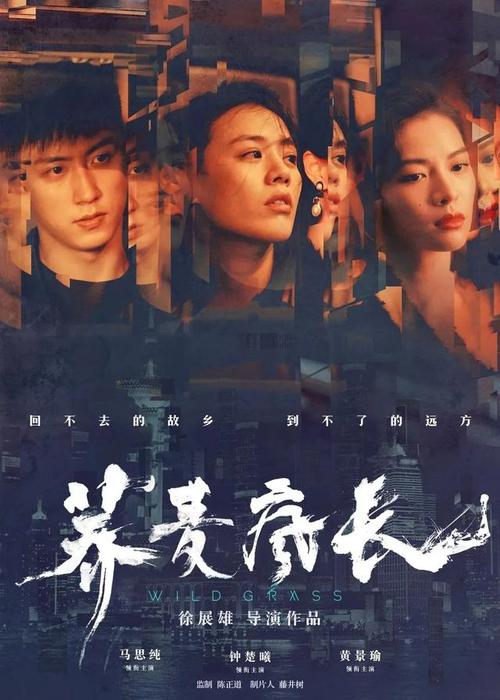 仿制北卡罗来纳州驾驶证